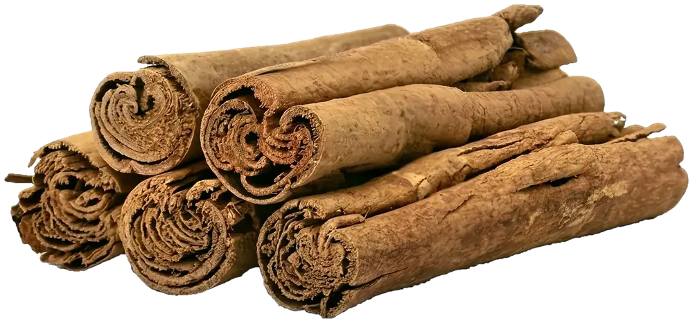Ceylon cinnamon quills, rolled from paper-thin layers of inner bark